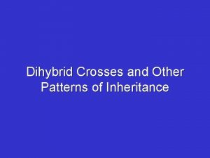 Dihybrid Crosses and Other Patterns of Inheritance Dihybrid
