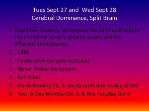 Tues Sept 27 and Wed Sept 28 Cerebral