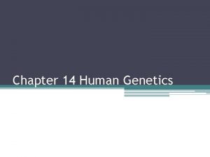 Chapter 14 Human Genetics 14 1 Human Chromosomes