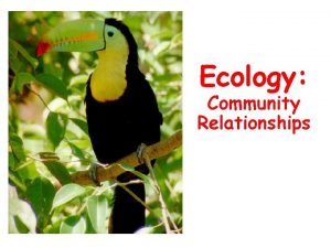 Ecology Community Relationships Community Relationships 1 Competition for