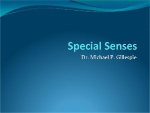 Special Senses Dr Michael P Gillespie Special Senses