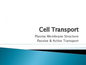 Cell Transport Plasma Membrane Structure Passive Active Transport