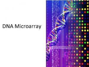 Microarray DNA Microarray MICRO ARRAY BIOCHIPS A semiconductor
