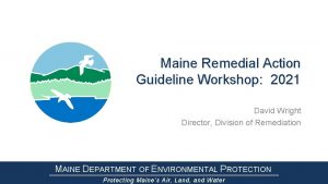 Maine Remedial Action Guideline Workshop 2021 David Wright