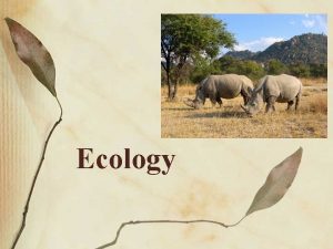 Ecology Ecology The study of interactions among between