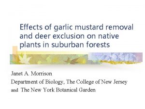 Effects of garlic mustard removal and deer exclusion
