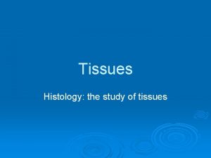 Tissues Histology the study of tissues Tissues A