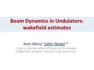 Beam Dynamics in Undulators wakefield estimates Avni Aksoy