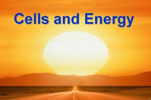 Cells and Energy Cells require energy in order