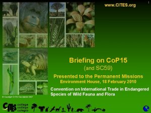 www CITES org 1 Briefing on Co P