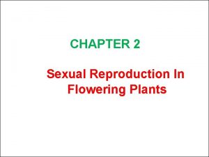 CHAPTER 2 Sexual Reproduction In Flowering Plants Flower