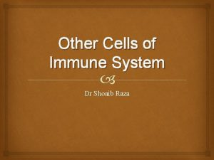 Other Cells of Immune System Dr Shoaib Raza