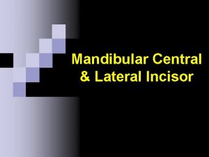 Mandibular Central Lateral Incisor Incisors n Common Characteristics