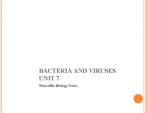 BACTERIA AND VIRUSES UNIT 7 Marcellin Biology Notes