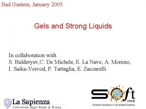 Bad Gastein January 2005 Gels and Strong Liquids