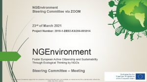 NGEnvironment Steering Committee via ZOOM 23 rd of