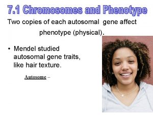 Two copies of each autosomal gene affect phenotype