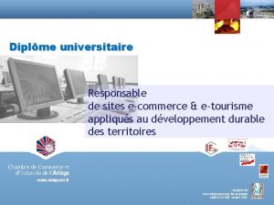 Diplme universitaire Responsable de sites ecommerce etourisme appliqus