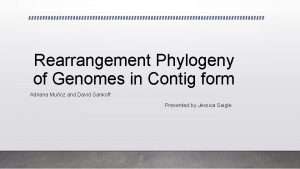 Rearrangement Phylogeny of Genomes in Contig form Adriana