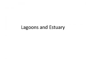 Lagoons and Estuary Lagoons Lagoons are classified commonly