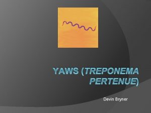 YAWS TREPONEMA PERTENUE Devin Bryner DescriptionM O Yaws