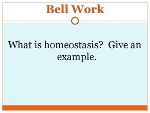 Bell Work What is homeostasis Give an example