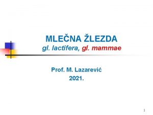 MLENA LEZDA gl lactifera gl mammae Prof M