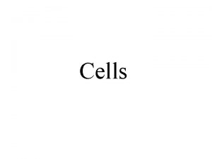 Cells Divisions Bacteria and Archaea Kingdom Monera Prokaryotic