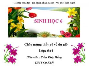 Hc tp sng to rn luyn chm ngoan