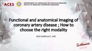 Functional and anatomical imaging of coronary artery disease