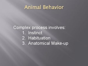 Animal Behavior Complex process involves 1 Instinct 2