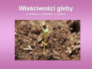 Waciwoci gleby W FORNALIK Z GAWROSKA K GRUSZKA