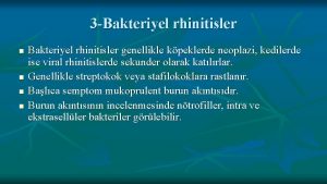 3 Bakteriyel rhinitisler n n Bakteriyel rhinitisler genellikle