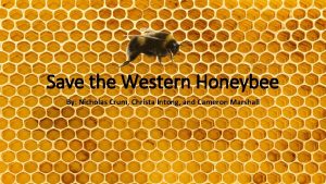 Save the Western Honeybee By Nicholas Crum Christa