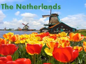 The Netherlands The Netherlands Official name Kingdom of