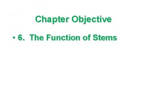 Chapter Objective 6 The Function of Stems Stems