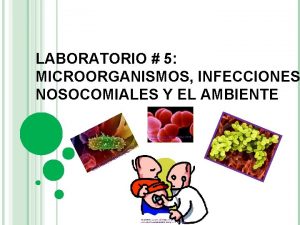 LABORATORIO 5 MICROORGANISMOS INFECCIONES NOSOCOMIALES Y EL AMBIENTE