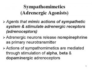 Sympathomimetics Adrenergic Agonists Agents that mimic actions of