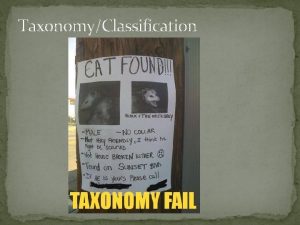 TaxonomyClassification Taxonomy The study of classifying organisms What