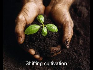 Shifting cultivation Inputs of shifting cultivation Physical factors