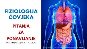 FIZIOLOGIJA OVJEKA PITANJA ZA PONAVLJANJE SANJA FABAC Gimnazija