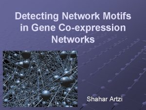 Detecting Network Motifs in Gene Coexpression Networks Shahar