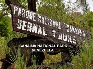 CANAIMA NATIONAL PARK VENEZUELA Parque Nacional A CANAIMA