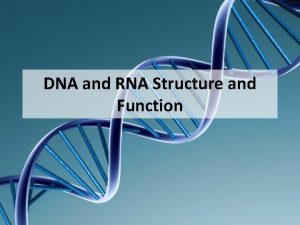 DNA and RNA Structure and Function DNA Function