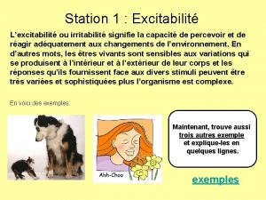 Station 1 Excitabilit Lexcitabilit ou irritabilit signifie la
