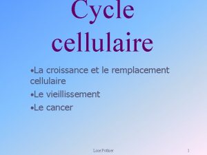 Cycle cellulaire La croissance et le remplacement cellulaire