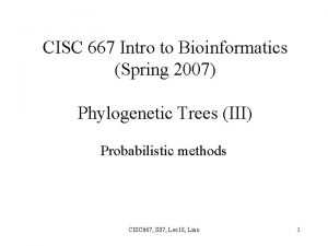 CISC 667 Intro to Bioinformatics Spring 2007 Phylogenetic