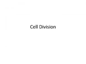 Cell Division Are you two twins Asexual Reproduction