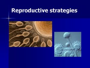 Reproductive strategies Dispersal variability restsiant stages Hermaphroditism in