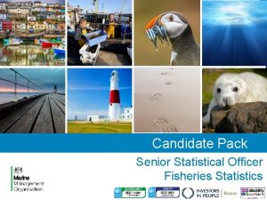 Candidate Pack Senior Statistical Officer Fisheries Statistics Welcome